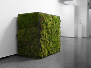 "Grow to Stone" im schwarzen Moossockel in der Ausstellung "Engineering meets Art" 2019 im Dortmunder U.